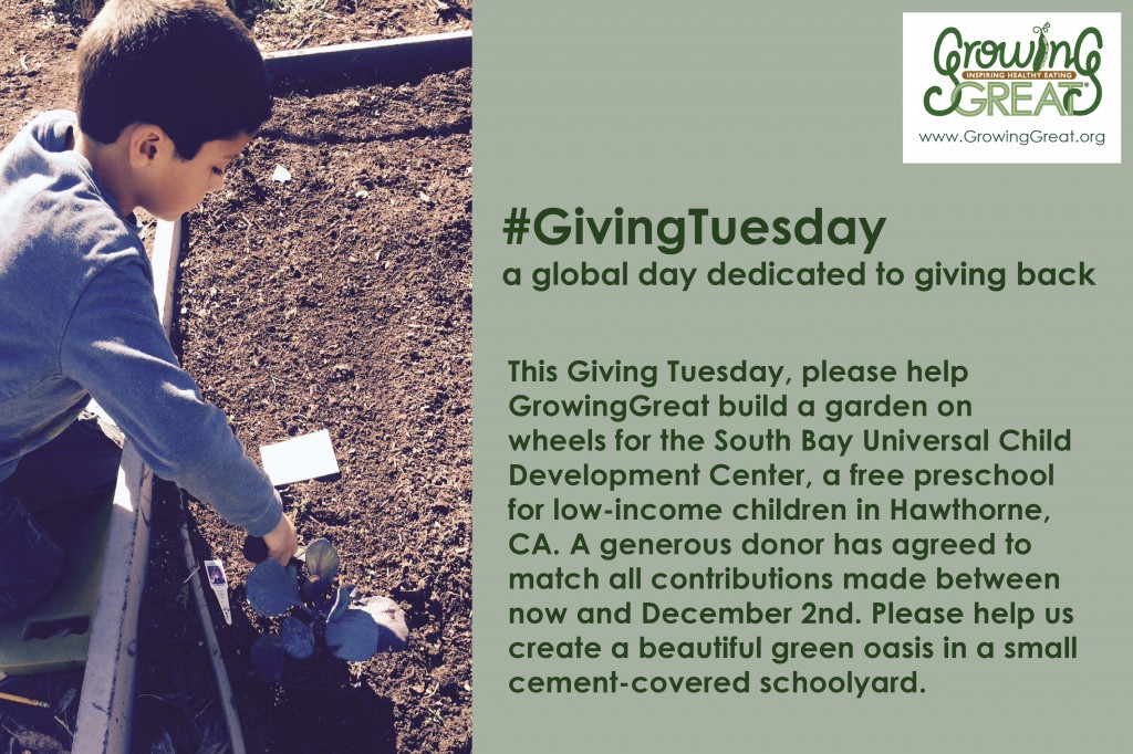 giving tuesday 7D