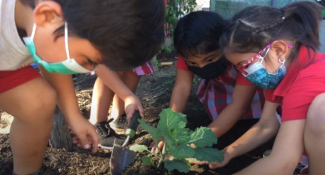 Garden Activities Improve Children’s Health