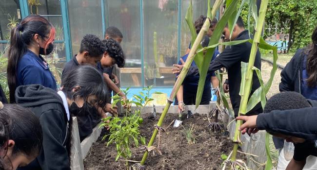 Compost to Ozone: Teens Tackle Climate Change