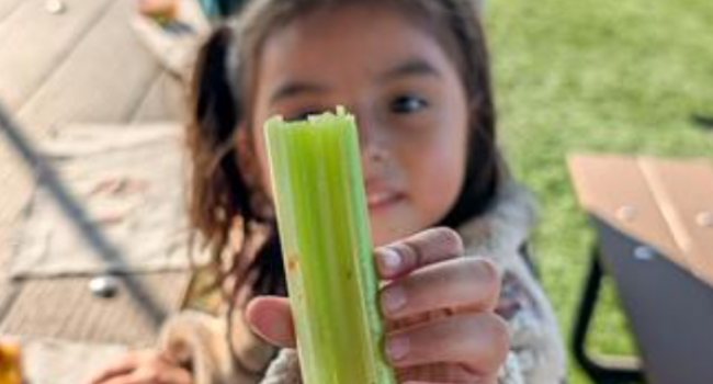 Your Support Grows More than Just Gardens